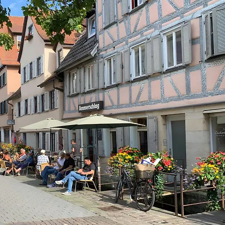 Gaestewohnung Jakobsgasse 아파트